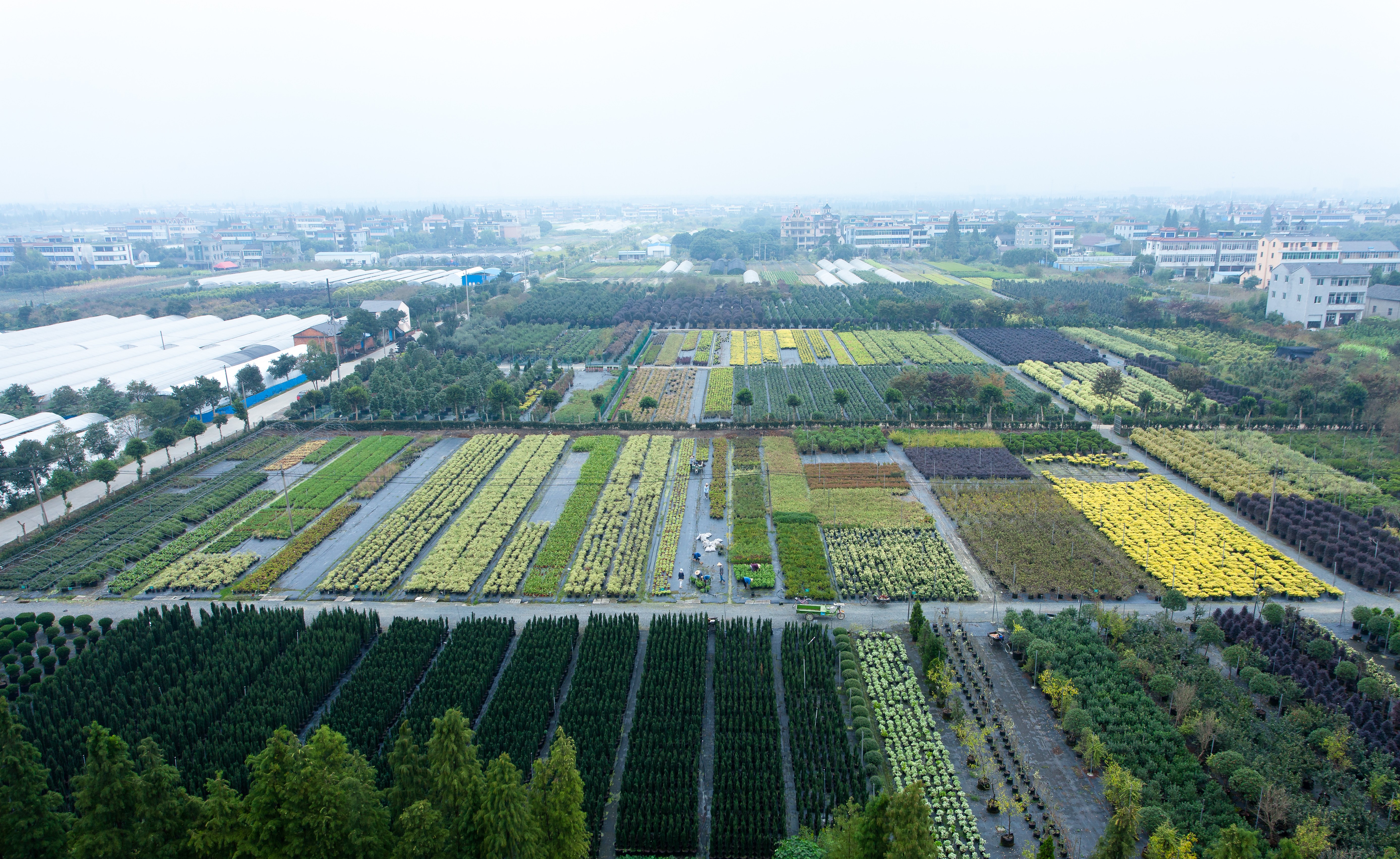 你好呀，2024虹越年度开云在线登录官网